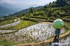 Sapa Bike Ride Half Day